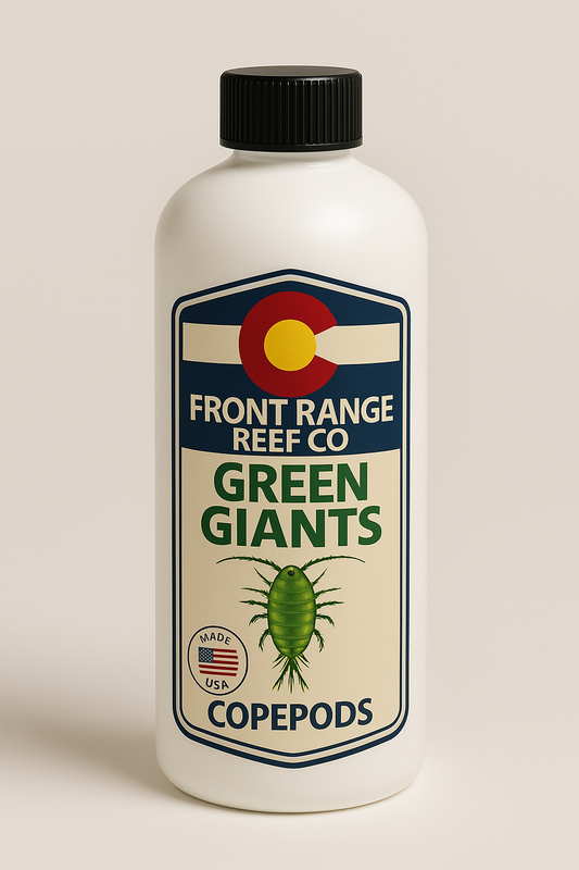 Green Giants (T. californicus)